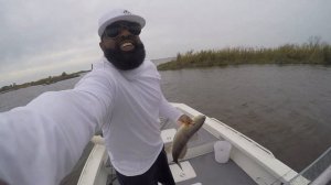 Berkley Gulp Catches Redfish Better Than You Think