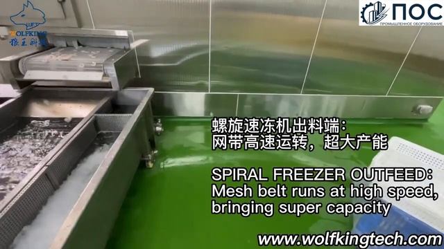 Линия по производству спиральной заморозки и глазирования очищенных креветок IQF смотреть онлайн