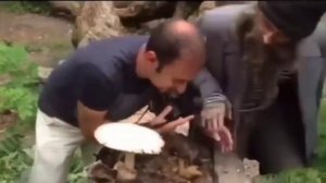 Это мой гриб, я его ем!!!