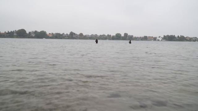 Trailer // Se med onsdag! смотреть онлайн