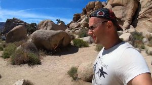 Путешествие по национальному парку США / Калифорния / жизнь в США влог /  путешествие по америке