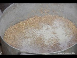 Составляем рацион для цыплят. Хозяйство Гуковские куры