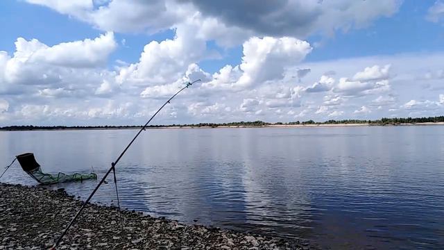 Жор сазана на Волге. Часть 2. смотреть онлайн