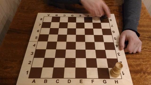 Шахматы. Урок 2 для начинающих. Ход шахматной фигуры, ход ладьи