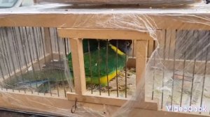 Ярмарка Кропоткин 28.01.2024 часть-2