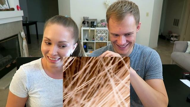 СМОТРИМ В МИКРОСКОП НА ОБЫЧНЫЕ ВЕЩИ смотреть онлайн