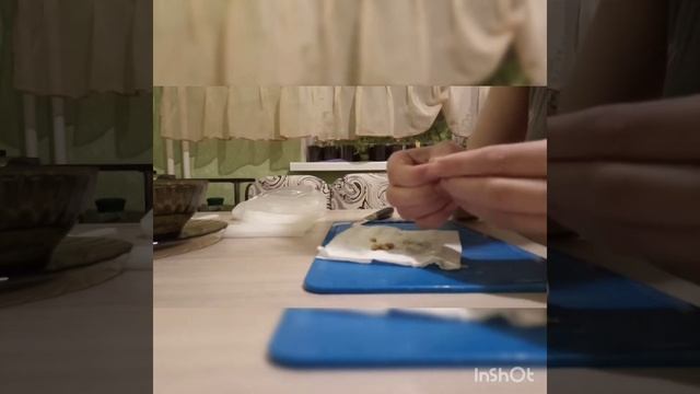 Выращиваем лимон из косточки. Часть 1. Проращивание семян.
