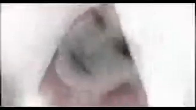 Аромат Tommy Girl от Tommy Hilfiger смотреть онлайн