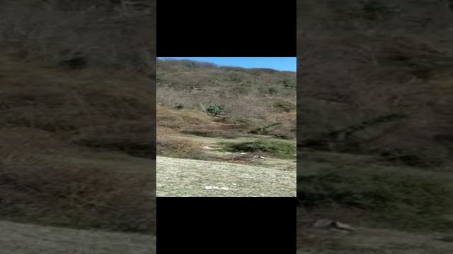 Карточка видео