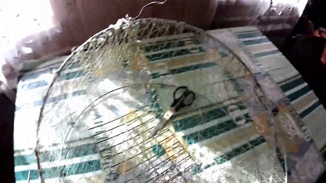 Спусковой механизм лучка на птиц смотреть онлайн