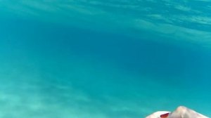 Море возле отеля palm beach resort под водой. Египет 2018. Хургада. Январь