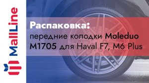 Распаковка: передние колодки Moleduo M1705 для Haval F7, Haval M6+