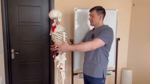 Живот исчезает навсегда. Все диетологи делают в тайне это упражнение и едят что хотят