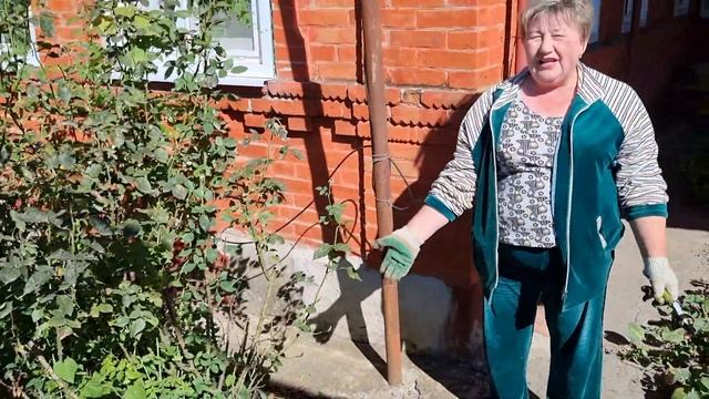 Делаем уборку на клумбе. Обрезаем розы во дворе. смотреть онлайн