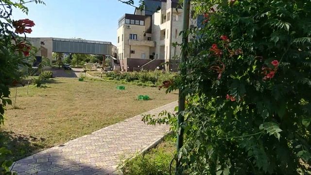 Дом деревянный 2-3чел 1ком Бассейн Полевая / Шмидта - Жилье и Отдых в Ейске смотреть онлайн