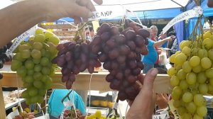 ЗОЛОТАЯ ГРОЗДЬ УКРАИНЫ 2021.Обзор стенда Шульги Алексея и Гречко Михаила.