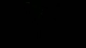 Салют Шары фестивальные 8 " дюймов