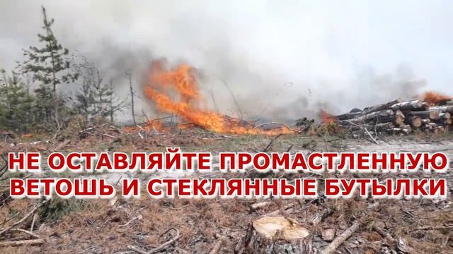 Профилактика лесных пожаров смотреть онлайн