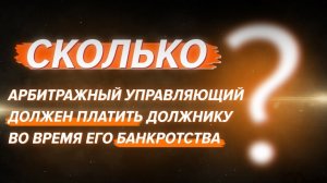 Сколько арбитражный управляющий должен платить физ.лицу во время его банкротства?