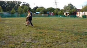 кадебо Джуль, тренировка ЗКС