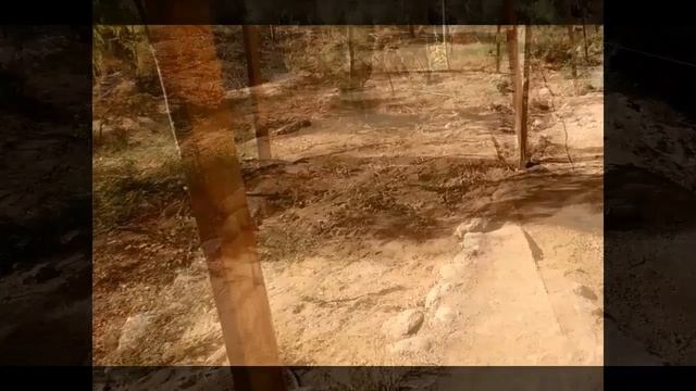 Иордания  (54) 1,5 км идем к реке Иордан
