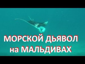 Морской дьявол и бюджетные Мальдивы