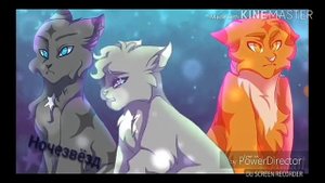 Коты воители я не сплю я живу
