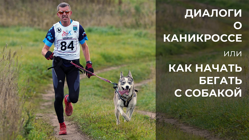 Как начать бегать с собакой или "Диалоги о каникроссе"