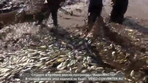 Зарыбление. Рыбхоз "Межура" (часть 2)