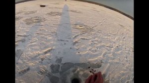 Ловля плотвы в январе. Где искать, и на какие снасти ловить.  Несколько советы по плотве в январе.