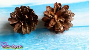 DIY Букет из шишек. Мастер-класс по изготовлению