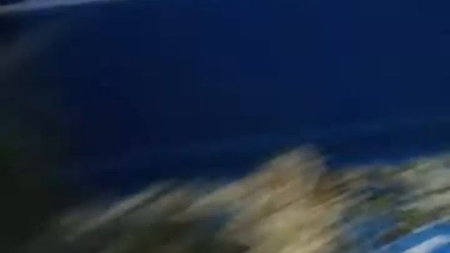 Это мой кролик