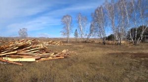Памятник природы.Лесной массив Анцирские дачи в Опасности.