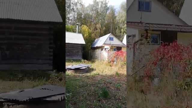 Снт лесное дача 9 соток смотреть онлайн
