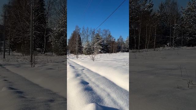 Продаётся земельный участок 18 соток в деревне Старинки,около деревни Плеханы, Александровский райо