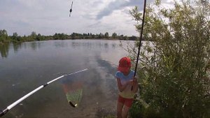 КРУПНАЯ ПЛОТВА НА ПОПЛАВОК У БЕРЕГА!!! ЖОР ПЛОТВЫ КАКОЙ-ТО!    #рыбалканамаховуюудочку