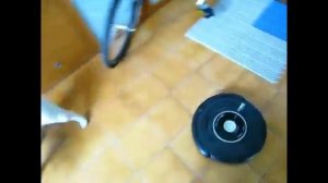 Робот-пылесос и смешные домашние животные