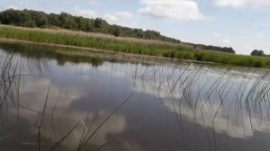 Ловля леща  с лодки на поплавочную удочку на реке Шоша ,деревня  Безбородово Тверская область.