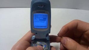 Обзор на Samsung SGH A800 (С КАЛЕНДАРЁМ НА 2 ТЫСЯЧЕЛЕТИЯ)