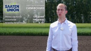 Сорта овса пищевого и фуражного назначения