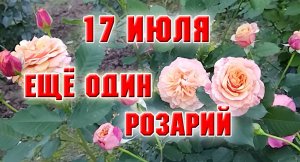 17 июля. Второй розарий. Розы с названиями