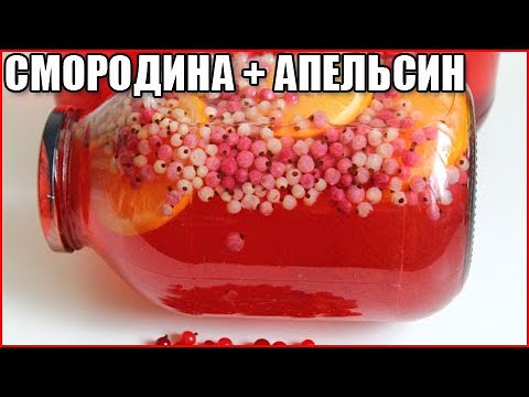 Компот из белой смородины с апельсином. Компот с апельсином и белой смородины.