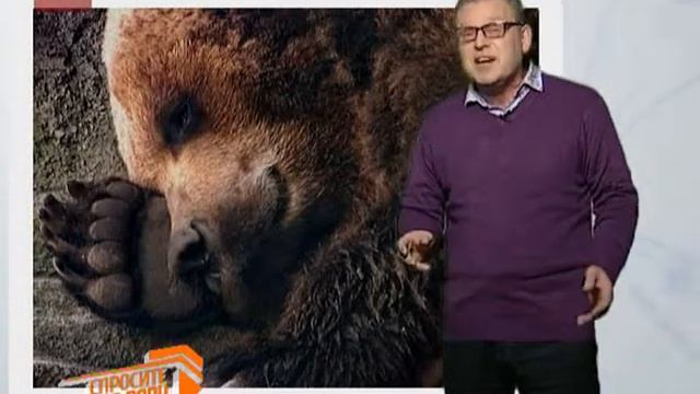 Спросите дядю Вову. Медвежья спячка смотреть онлайн