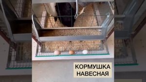 Клетка для кур несушек на 7 голов в полной комплектации от производителя!