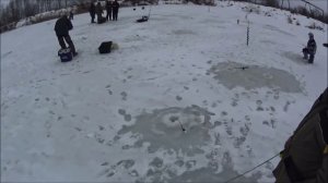 "BF"-№ 28. Ловля форели зимой. Ловля форели на платном водоеме.