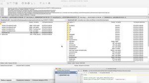 Как подключать произвольные шрифты к WordPress теме Avados