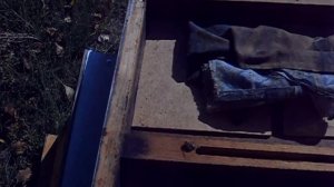 Обработка пчел от клеща муравьиной кислотой