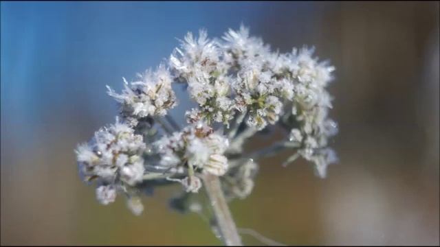 Иеромонах Роман. «Не разрывайте Истину на мнения...» смотреть онлайн