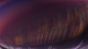 Такси ярославский вокзал шереметьево