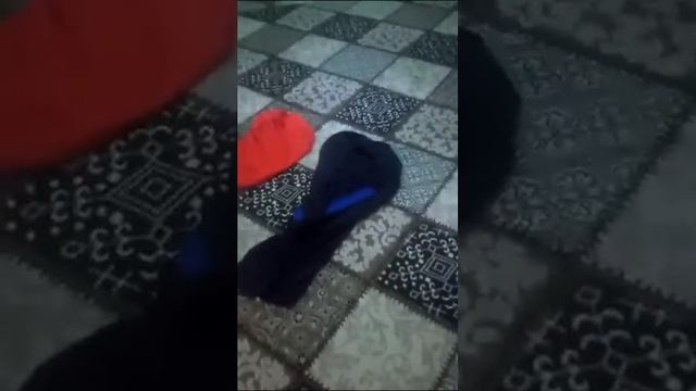 боз як келини хонара капидан кати марди бегона смотреть онлайн